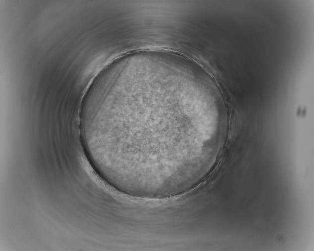 X0000111900002200908241014