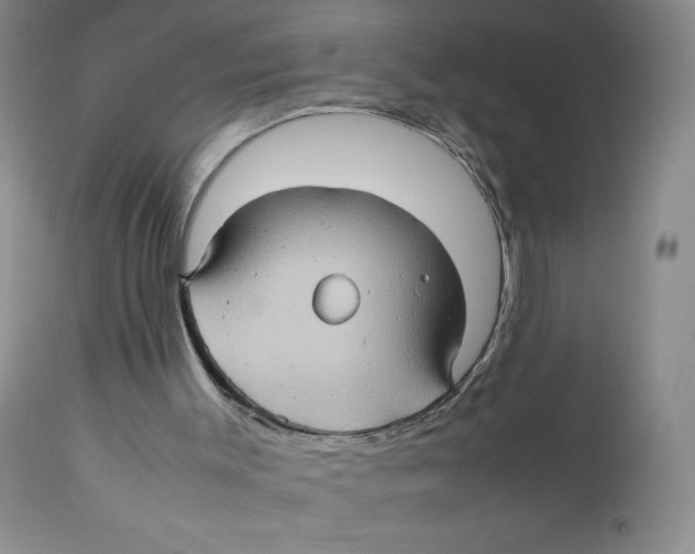 X0000111900003200908241014