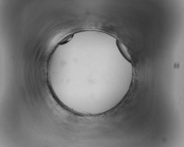 X0000111900005200908241014