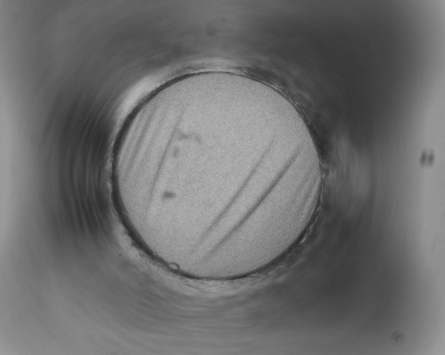 X0000111900006200908241014