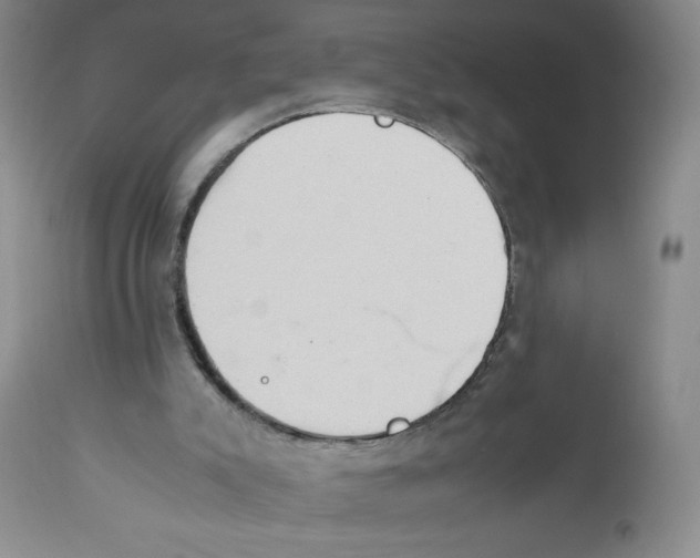 X0000111900007200908241014