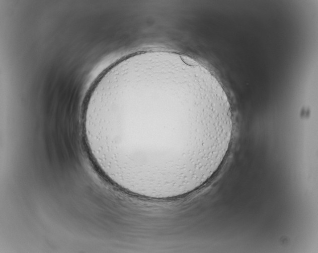 X0000111900008200908241014