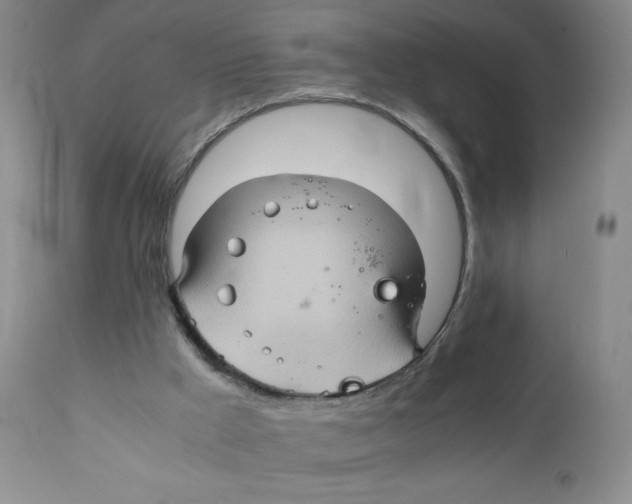 X0000111900009200908241014