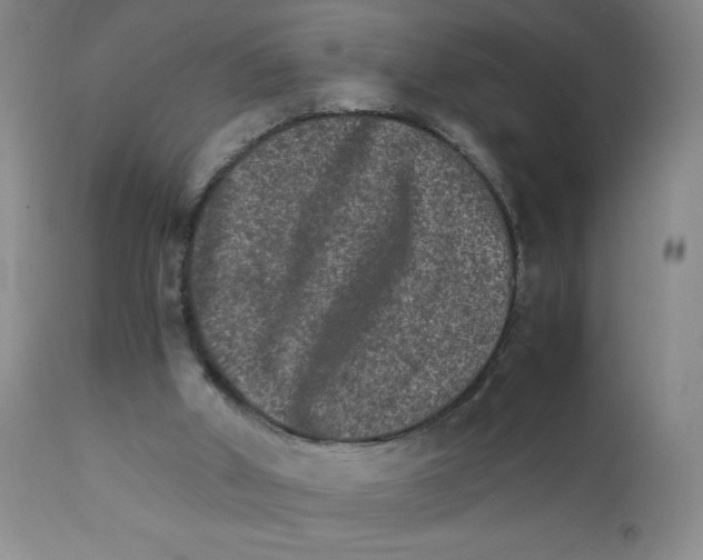 X0000111900010200908241014