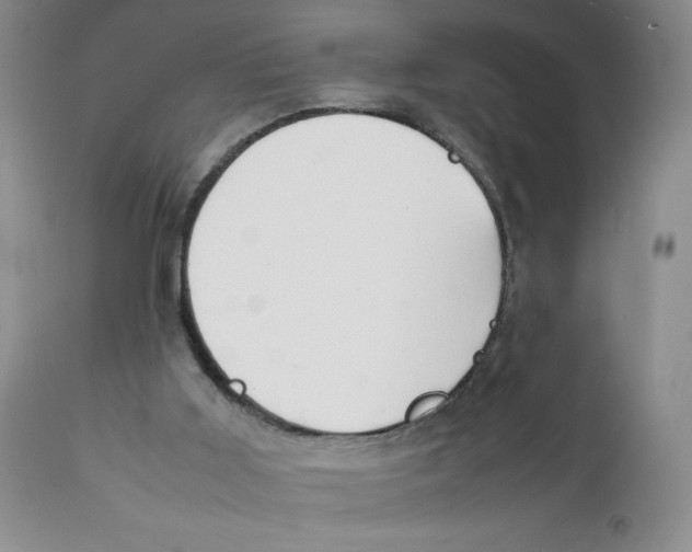 X0000111900011200908241014