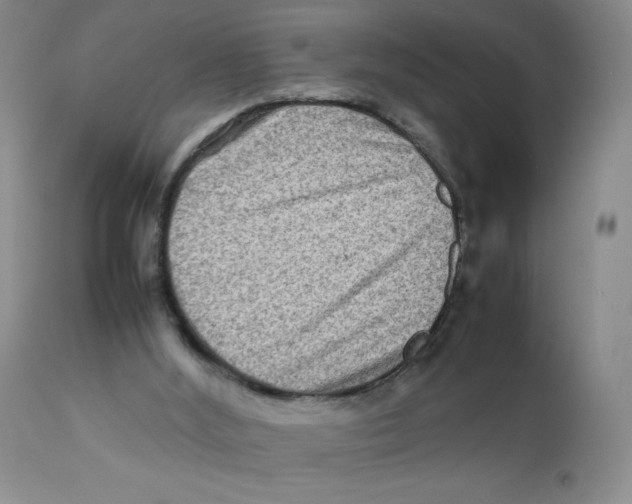 X0000111900012200908241014