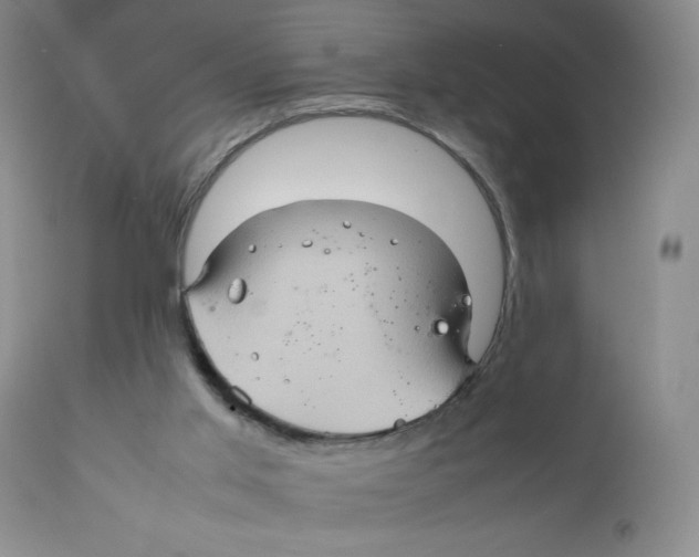 X0000111900013200908241014