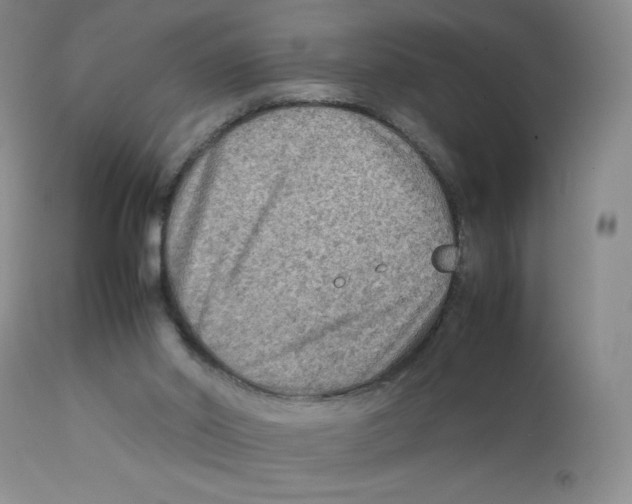 X0000111900014200908241014