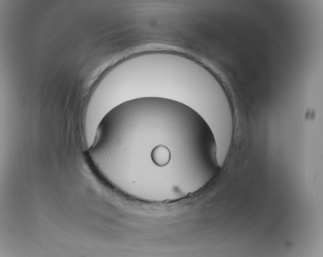 X0000111900015200908241014