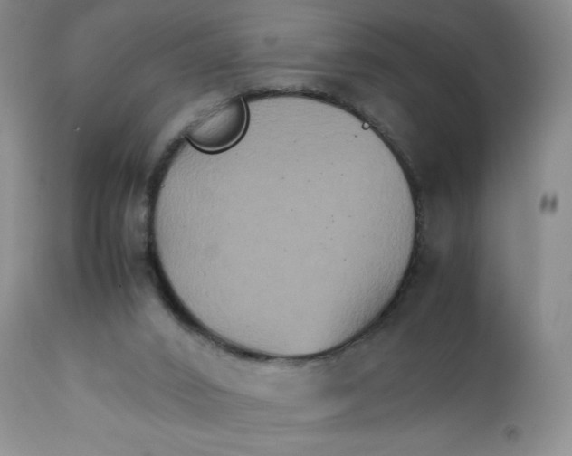 X0000111900016200908241014