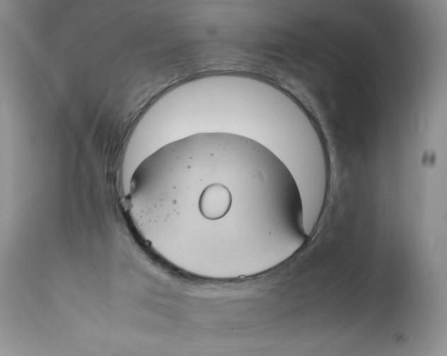 X0000111900017200908241014