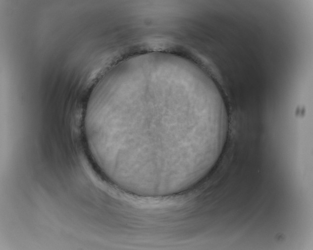 X0000111900018200908241014