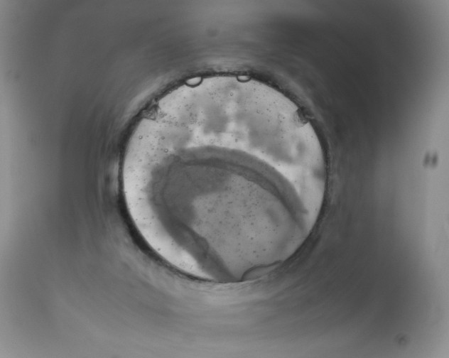 X0000111900019200908241014