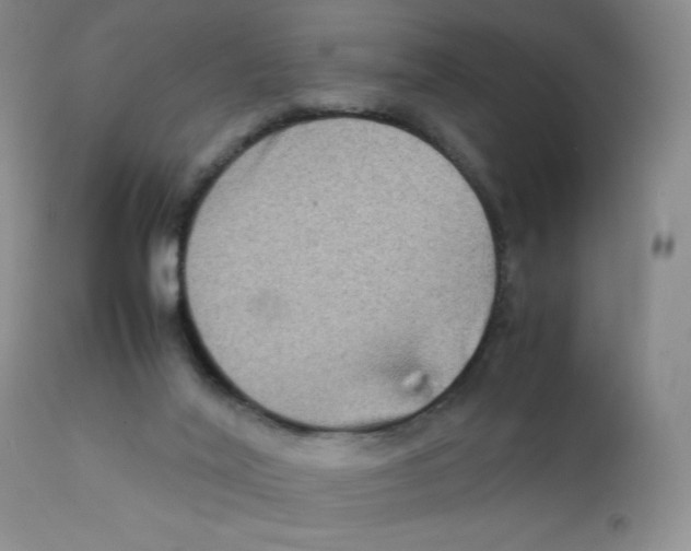 X0000111900020200908241014