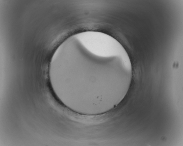 X0000111900023200908241014