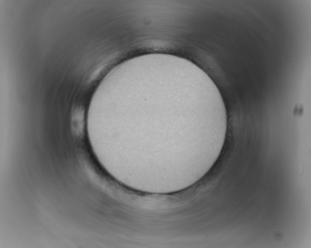 X0000111900024200908241014