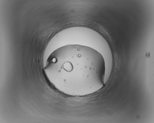 X0000111900025200908241013