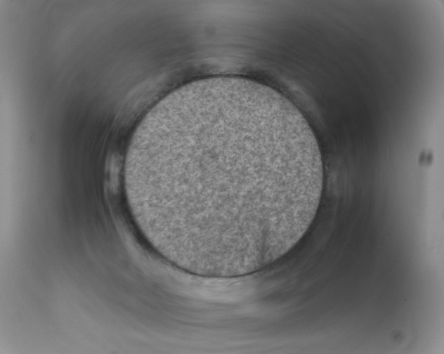 X0000111900026200908241013