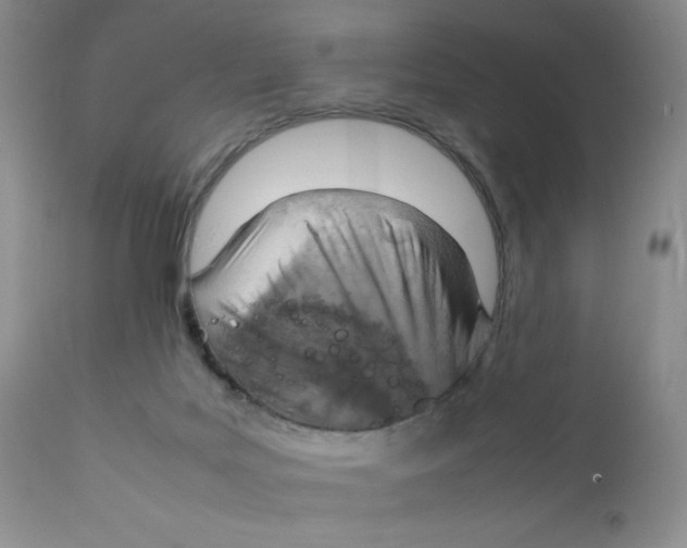 X0000111900027200908241013