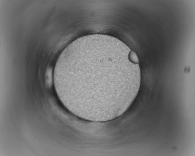 X0000111900028200908241013