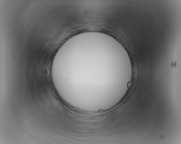 X0000111900032200908241013