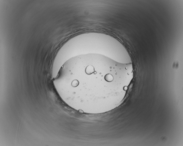 X0000111900033200908241013