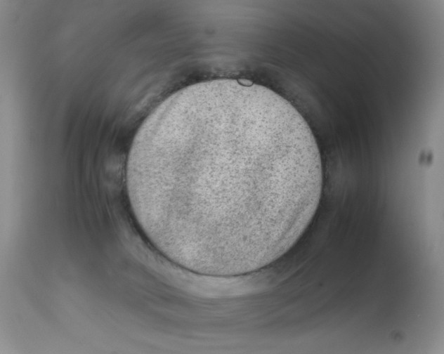 X0000111900034200908241013