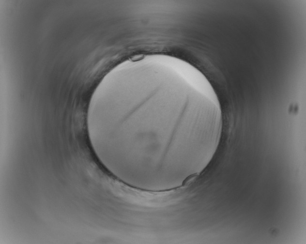 X0000111900035200908241013