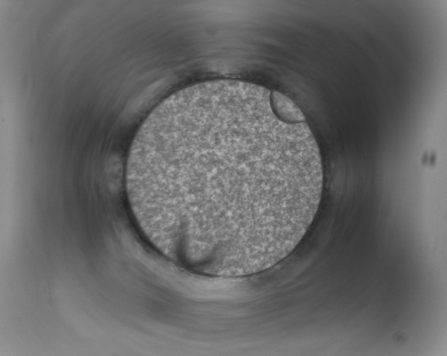 X0000111900036200908241013