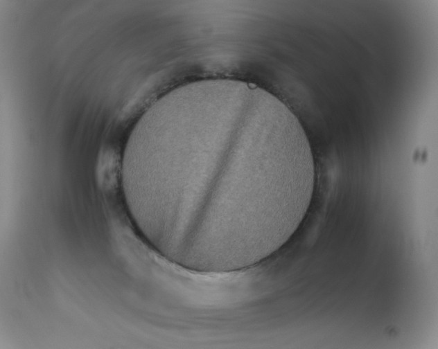 X0000111900038200908241013