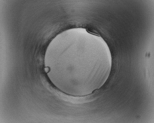 X0000111900039200908241013