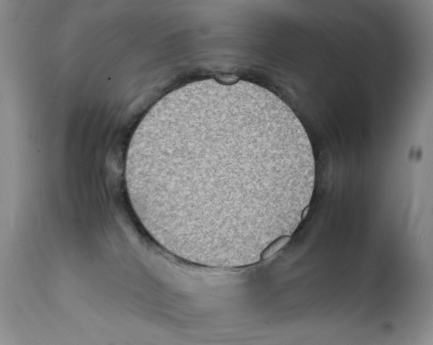 X0000111900040200908241013