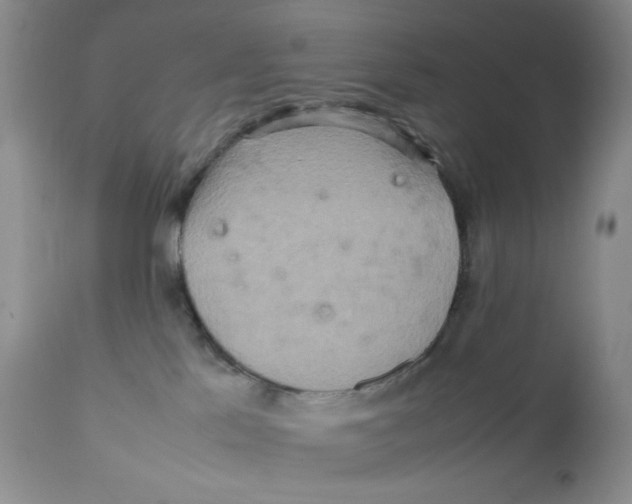 X0000111900041200908241013