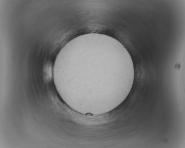 X0000111900042200908241013