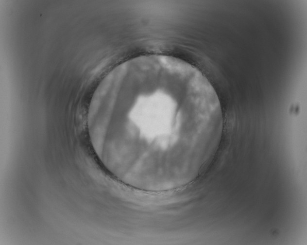 X0000111900043200908241013