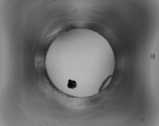 X0000111900044200908241013