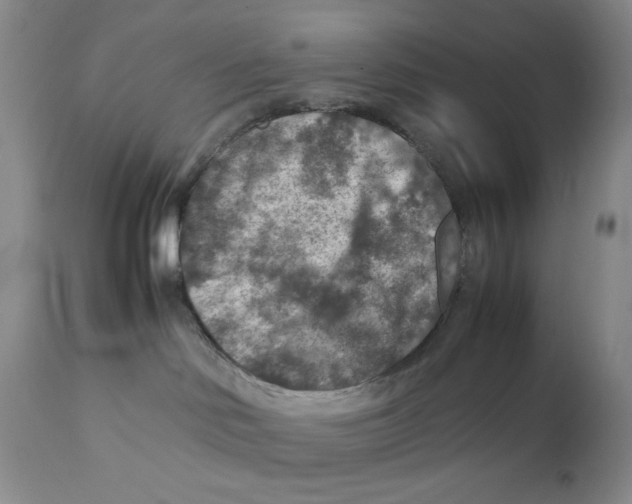 X0000111900046200908241013