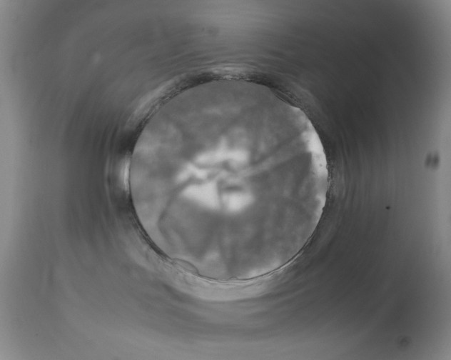 X0000111900047200908241013