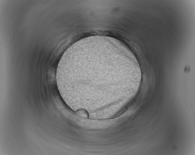 X0000111900048200908241013