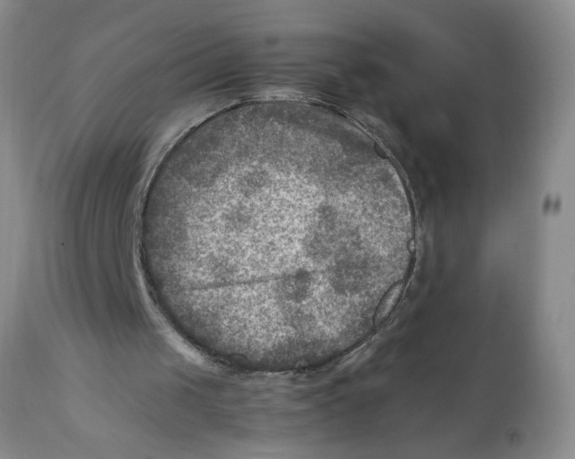 X0000111900049200908241012