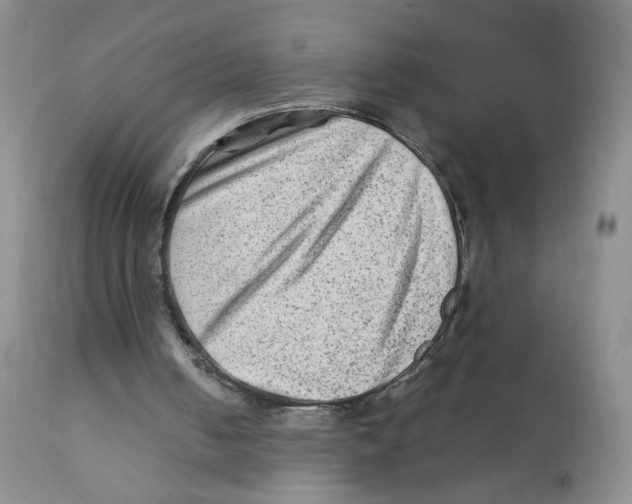 X0000111900050200908241012