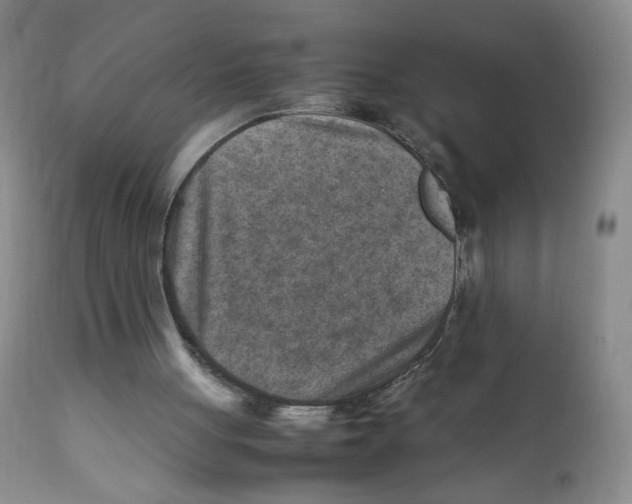 X0000111900051200908241012