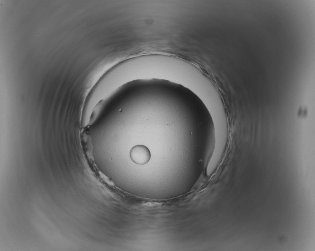 X0000111900052200908241012