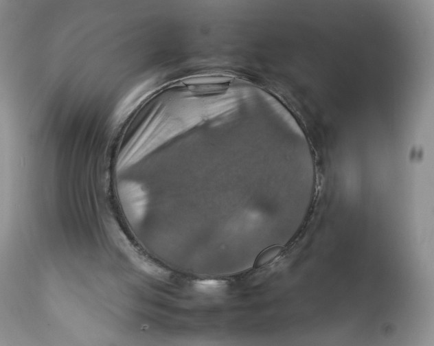 X0000111900053200908241012