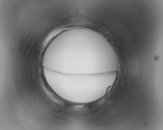 X0000111900054200908241012