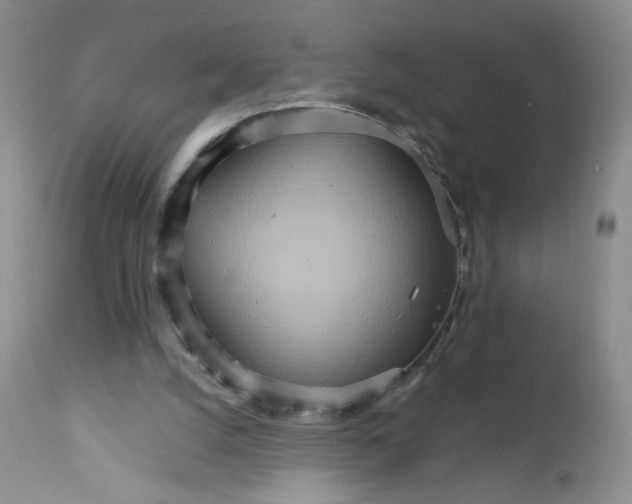 X0000111900056200908241012