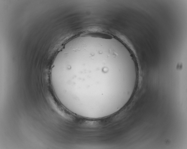 X0000111900057200908241013