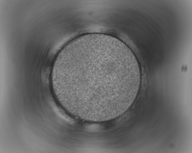 X0000111900058200908241013