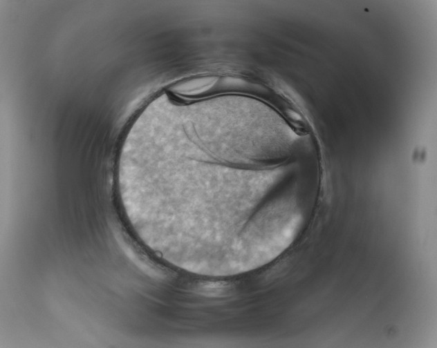 X0000111900059200908241013