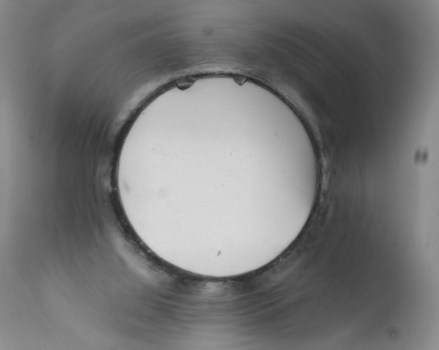 X0000111900060200908241013